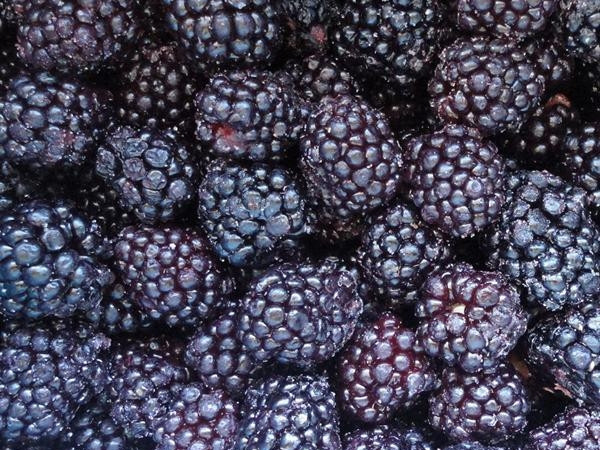 Blackberry