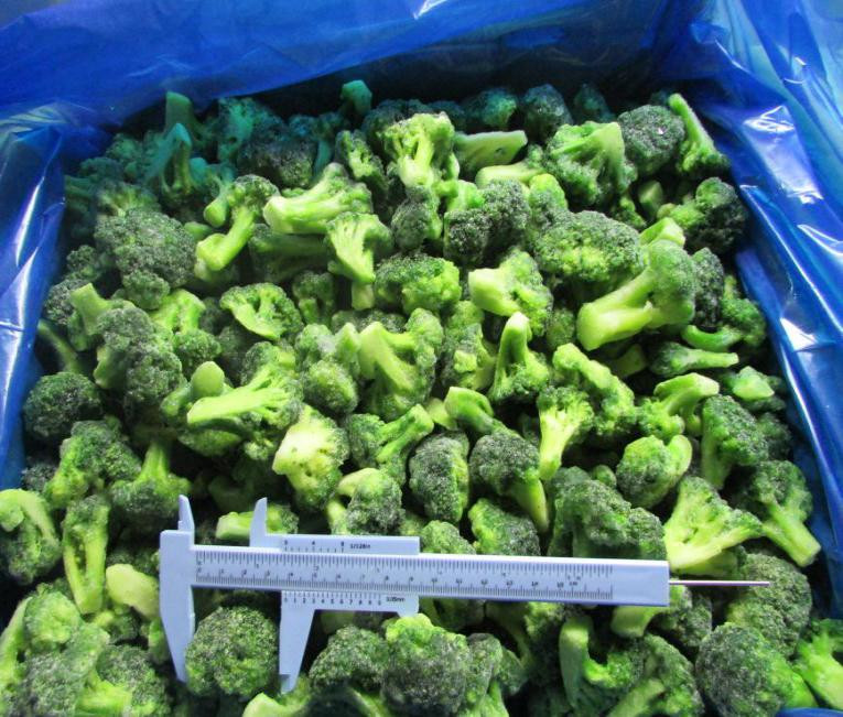 Broccoli