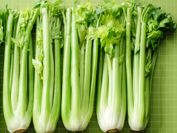 Dice-Celery