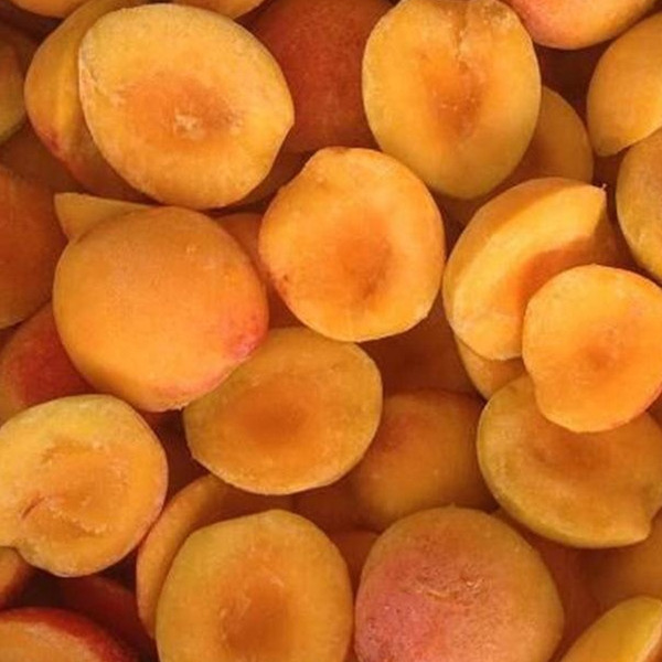 Apricot