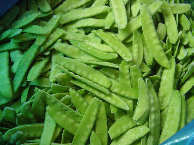 Green-Snow-Bean-Pods-Peapods