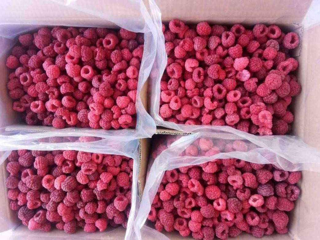 Raspberry