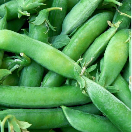 Tsoekere-Snap-Peas