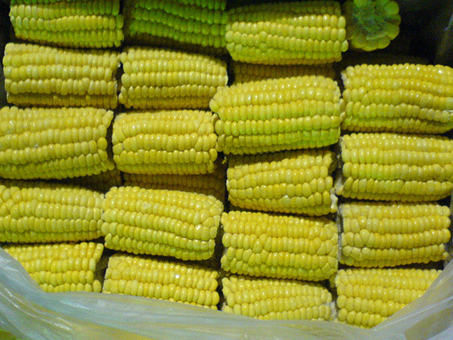 Jagung manis