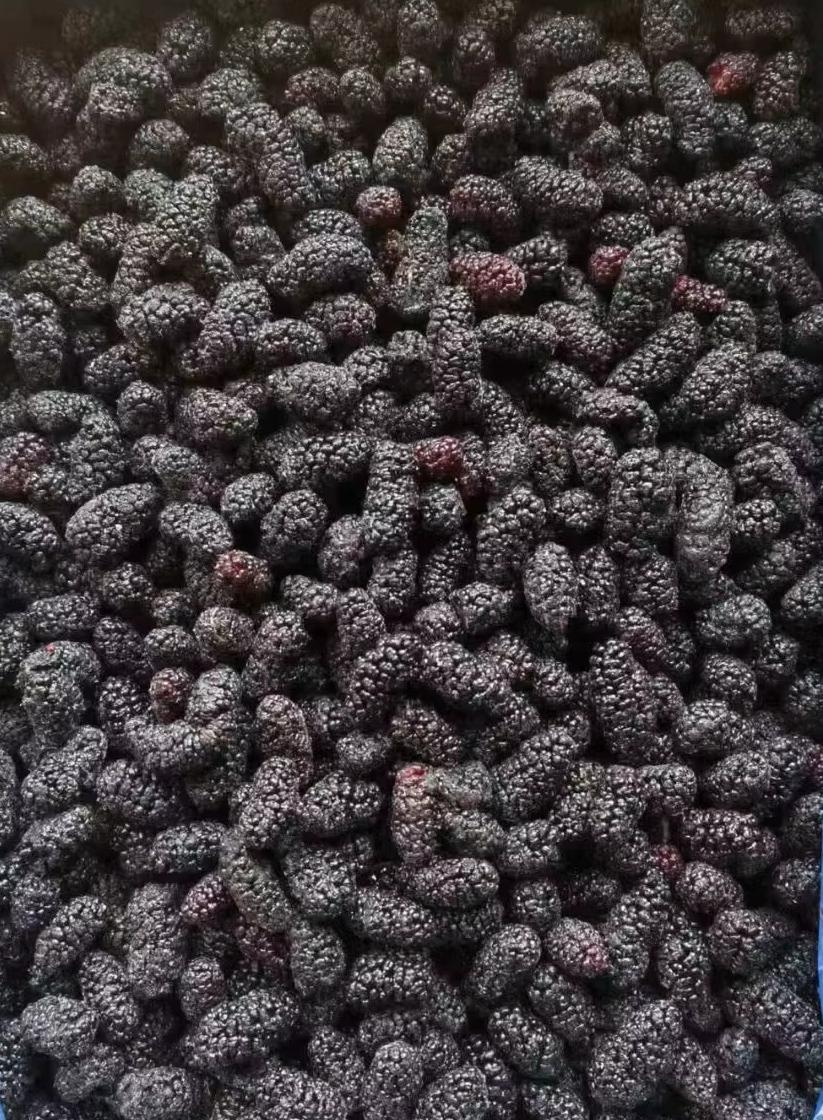 图片2