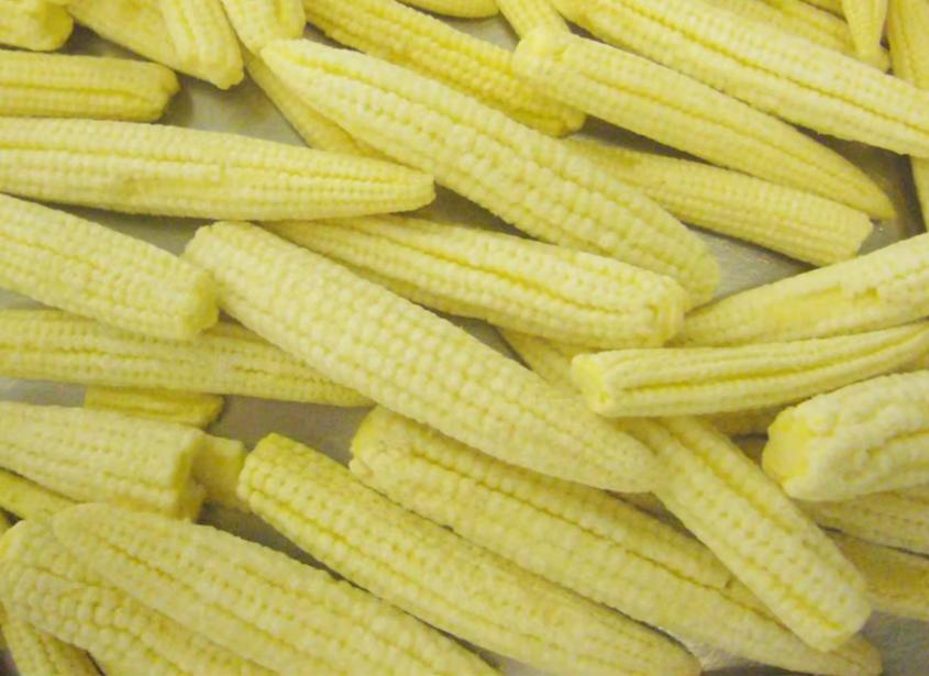 845
