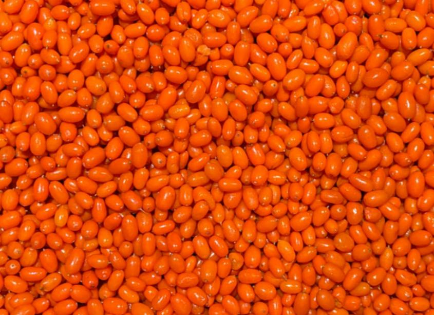 845(1