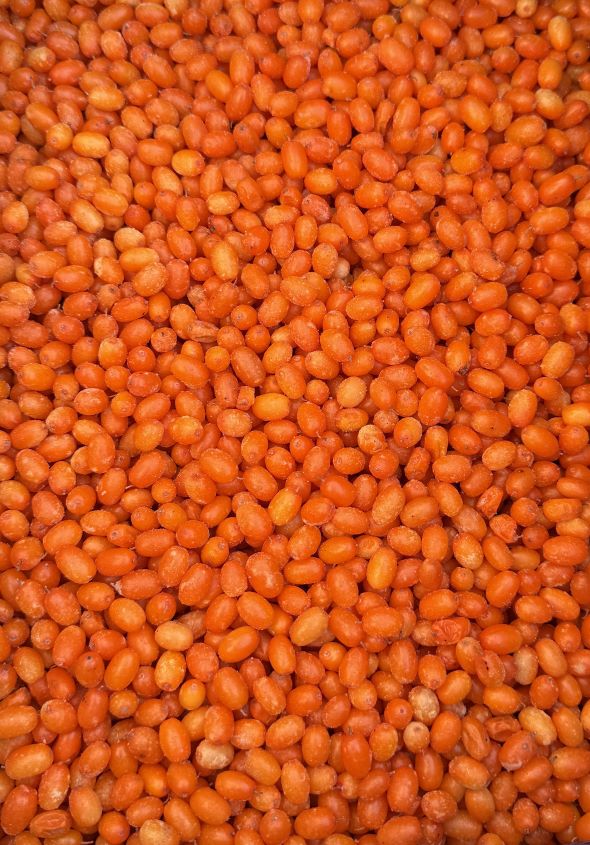 IQF sea-buckthorn (2)